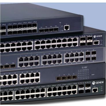 Switch de agregación 10G gestionado GS230