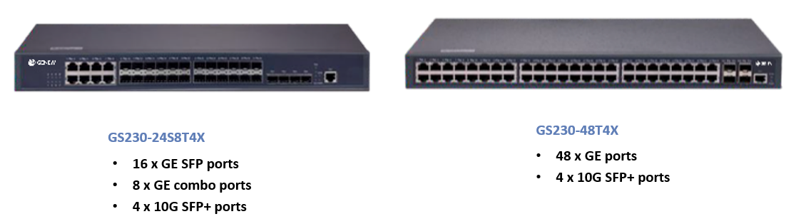 10g Switch GS230